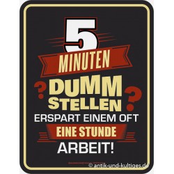 Blechschild 5 Minuten dumm...