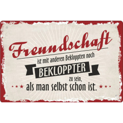 Blechschild Freundschaft ist mit anderen Bekloppten noch bekloppter zu sein