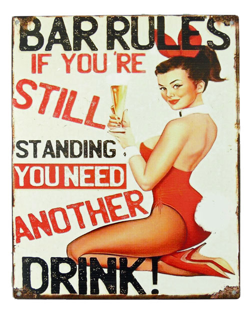 Blechschild Bar Rules Pin Up Girl - 20x25 cm