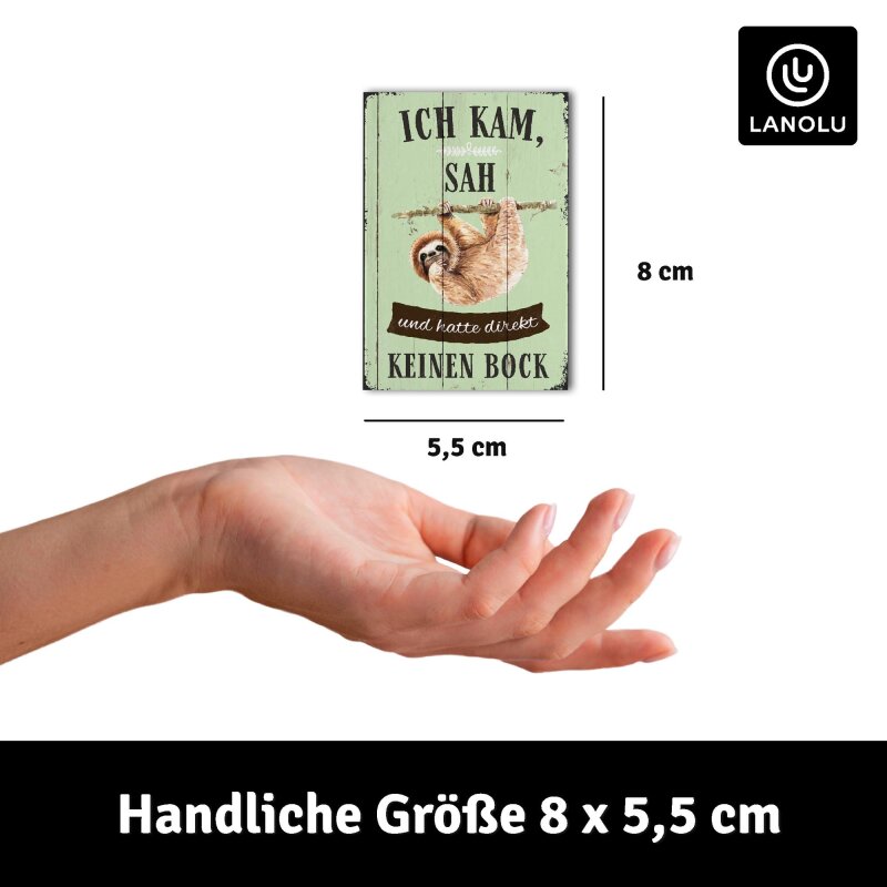 Kühlschrank-Magnet Ich kam, sah und hatte keinen Bock - 8x5,5 cm
