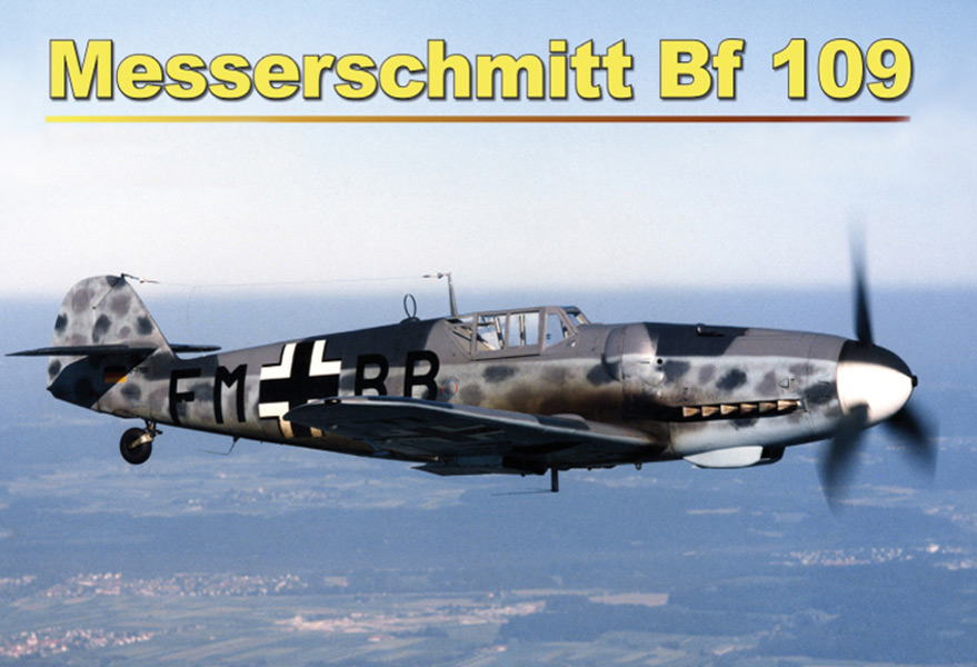 Blechschild Flugzeug Messerschmitt Bf 109 in der Luft - 20x30 cm