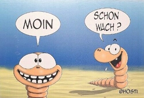 Platzset Moin schon wach Hösti Tischset - 44 x 30 cm