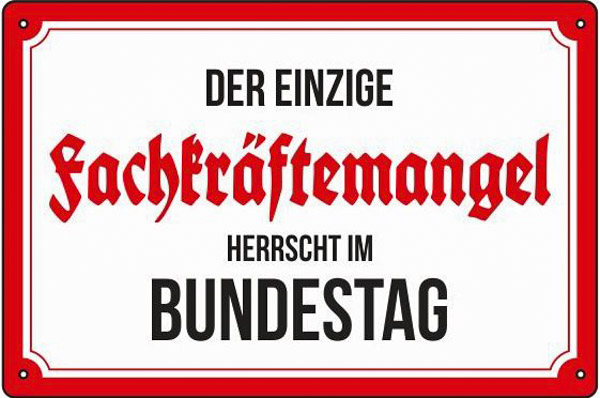 Blechschild Der einzige Fachkräftemangel - 20x30 cm
