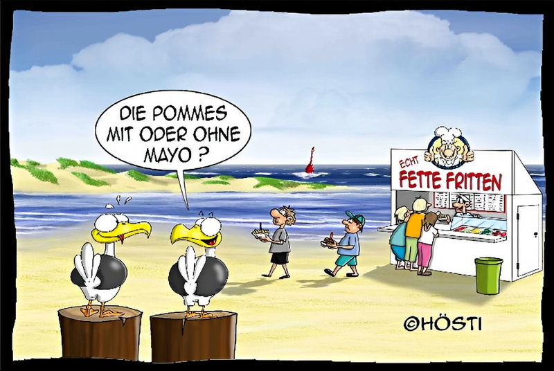 Pommes Mayo - Hösti Postkarte
