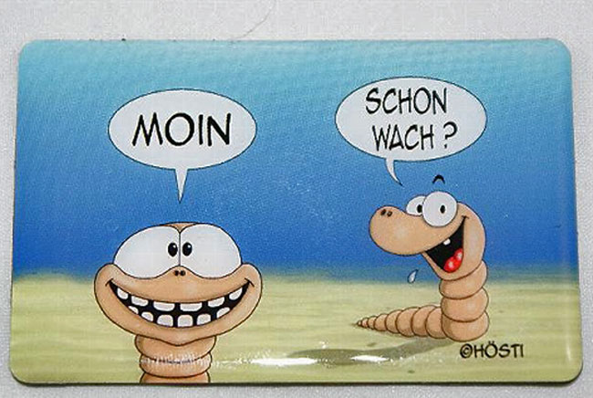 Kühlschrank-Magnet Moin schon wach Hösti
