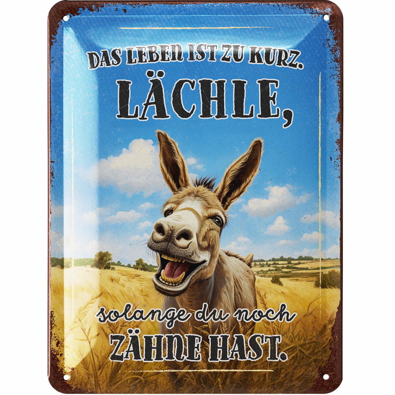 Blechschild Das Leben ist zu kurz, lächle - 15x20 cm