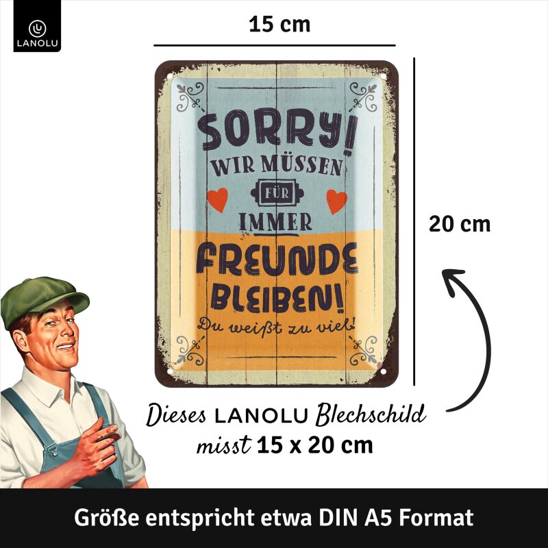 Blechschild „Sorry,wir müssen Freunde bleiben“ – Lustiges Freundschaftsschild & originelle Geschenkidee – 15x20 cm