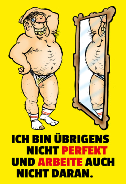Blechschild „Ich bin übrigens nicht perfekt“ – Lustiges Spruchschild für Zuhause, Büro & als Geschenk – 20x30 cm