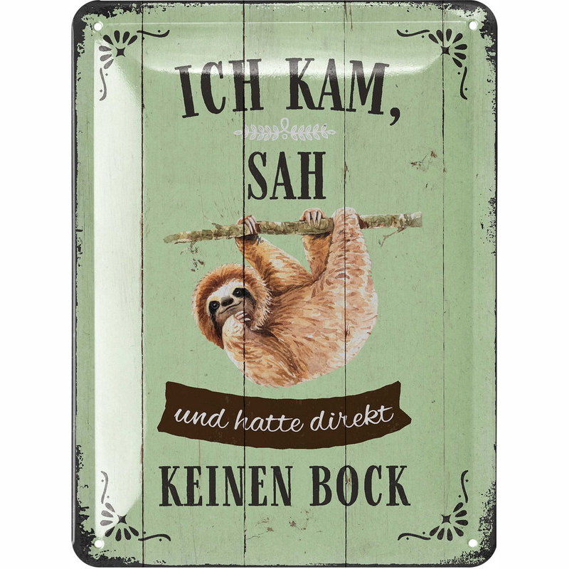 Blechschild Ich kam sah und hatte direkt keinen Bock - 15x20 cm