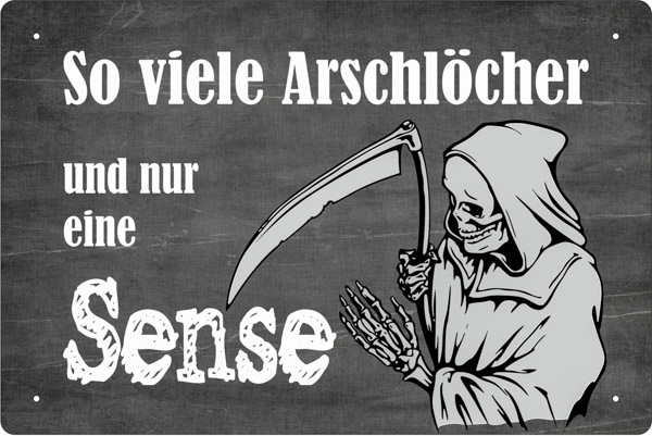Blechschild So viele Arschlöcher - 20x30 cm