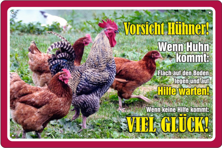 Blechschild Vorsicht Hühner - 20x30 cm
