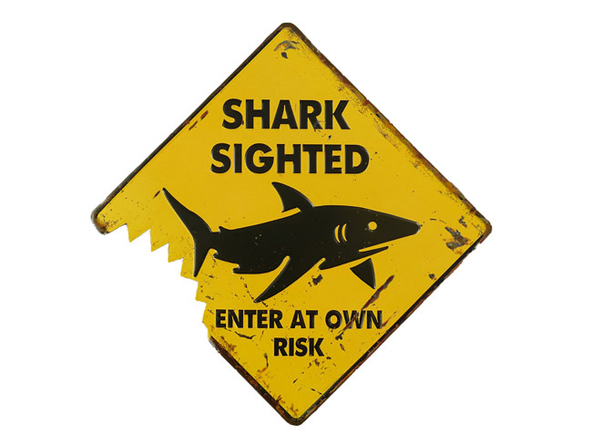 Blechschild Shark Sighted Hai - 25x25 cm