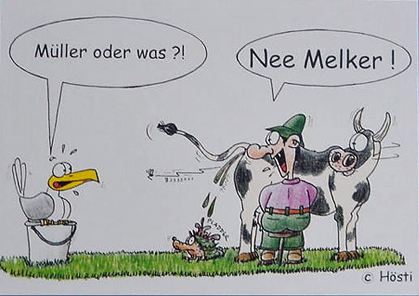 Müller oder was - Hösti Postkarte