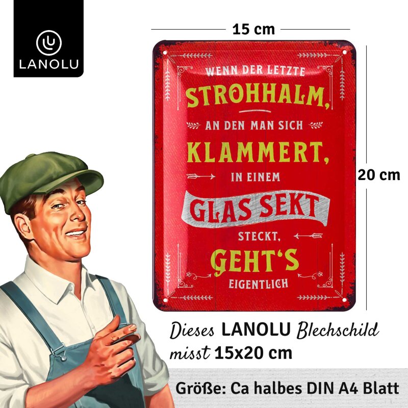 Blechschild Wenn der letzte Strohhalm – Lustige Deko & Geschenkidee 15x20 cm