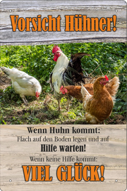 Blechschild Vorsicht Hühner - 20x30 cm