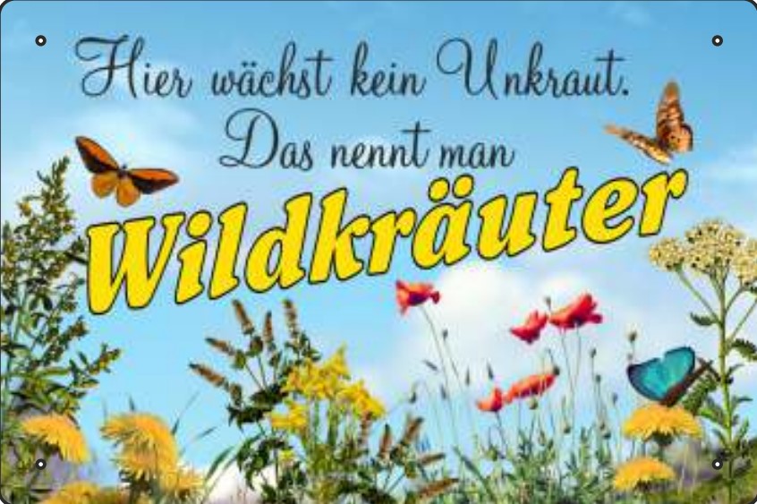 Blechschild Hier wächst kein Unkraut - 20x30 cm