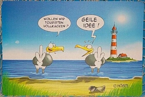 Platzset Touristen vollkacken Hösti Tischset - 40x30 cm