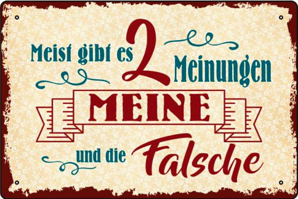 Blechschild Meist gibt es 2 Meinungen - 20x30 cm