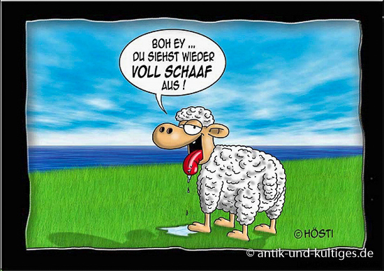 Voll Schaaf - Hösti Postkarte